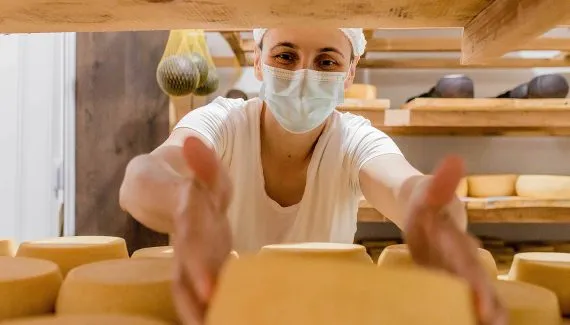 Made in Paraná: o plano que transformou 26 produtos locais em potências de mercado