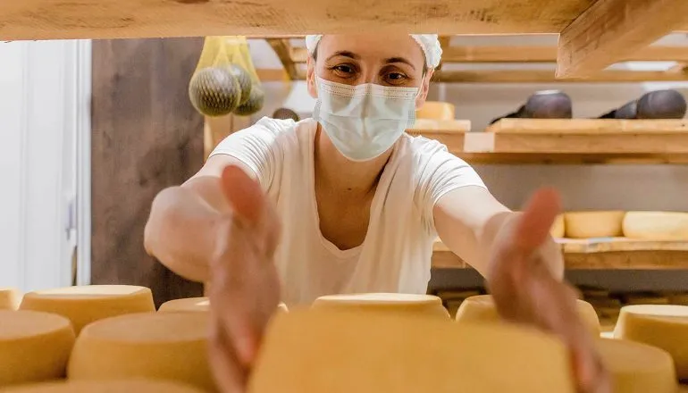 Made in Paraná: o plano que transformou 26 produtos locais em potências de mercado