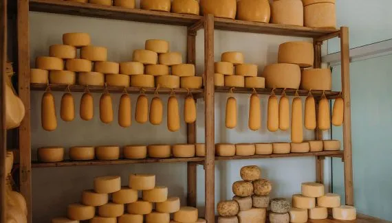 Made in Paraná: o plano que transformou 26 produtos locais em potências de mercado