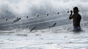 Por que a pesca de tainha foi suspensa no Brasil?