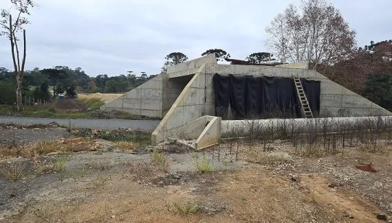 Obra em rodovia do Paraná será retomada após coleta de fósseis de 250 milhões de anos