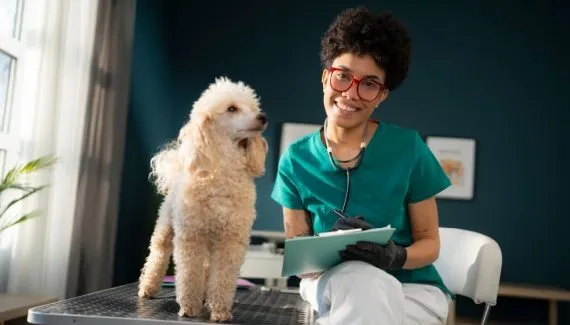 Seu pet tem histórico médico ou apenas uma coleção de exames?
