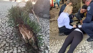 Jovem é atingida por galho em praça famosa de Curitiba e fica paraplégica