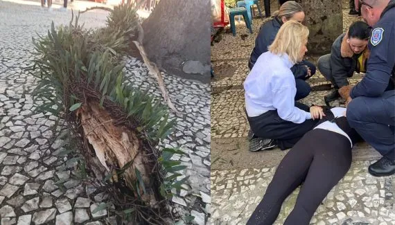 Jovem é atingida por galho em praça famosa de Curitiba e fica paraplégica