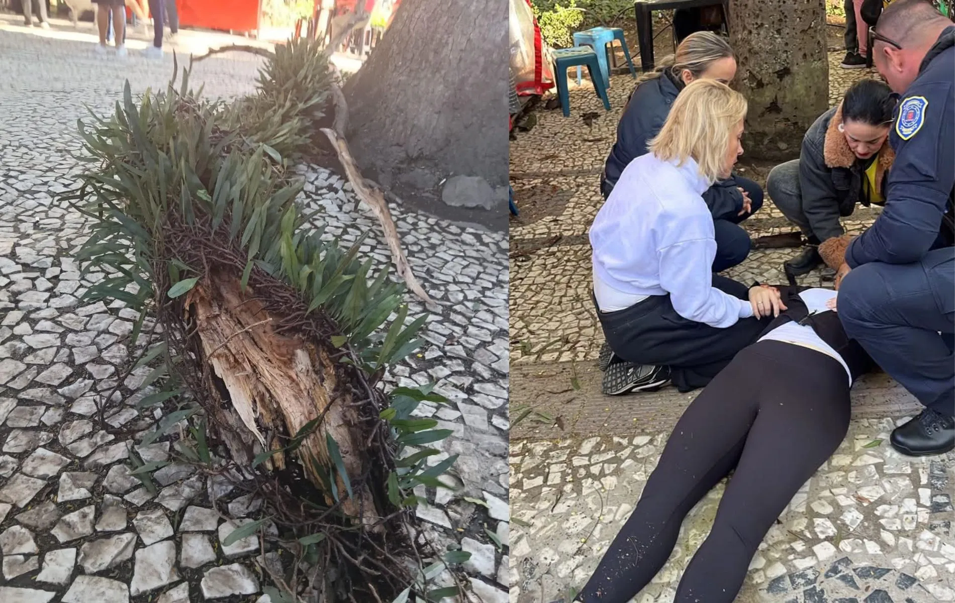 acidente Praça Osório