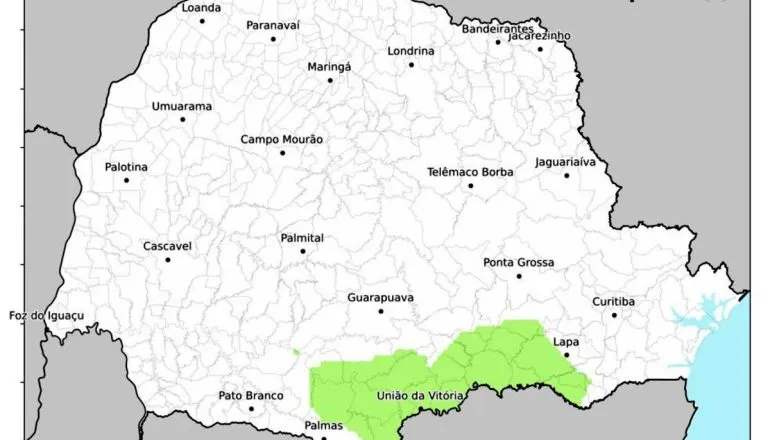 Válido para esta quarta-feira (16), o mapa da geada do Simepar indica regiões que podem ter o fenômeno