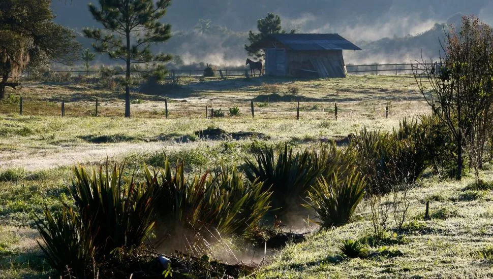 Imagem mostra uma área de chácara com geada