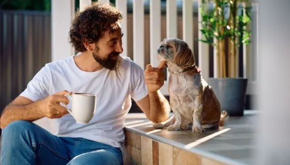 7 dicas para conquistar a confiança do seu cachorro 