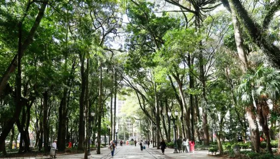Acidente na Praça Osório: quando a prefeitura é obrigada a indenizar a vítima?