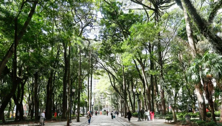 Acidente na Praça Osório: quando a prefeitura é obrigada a indenizar a vítima?