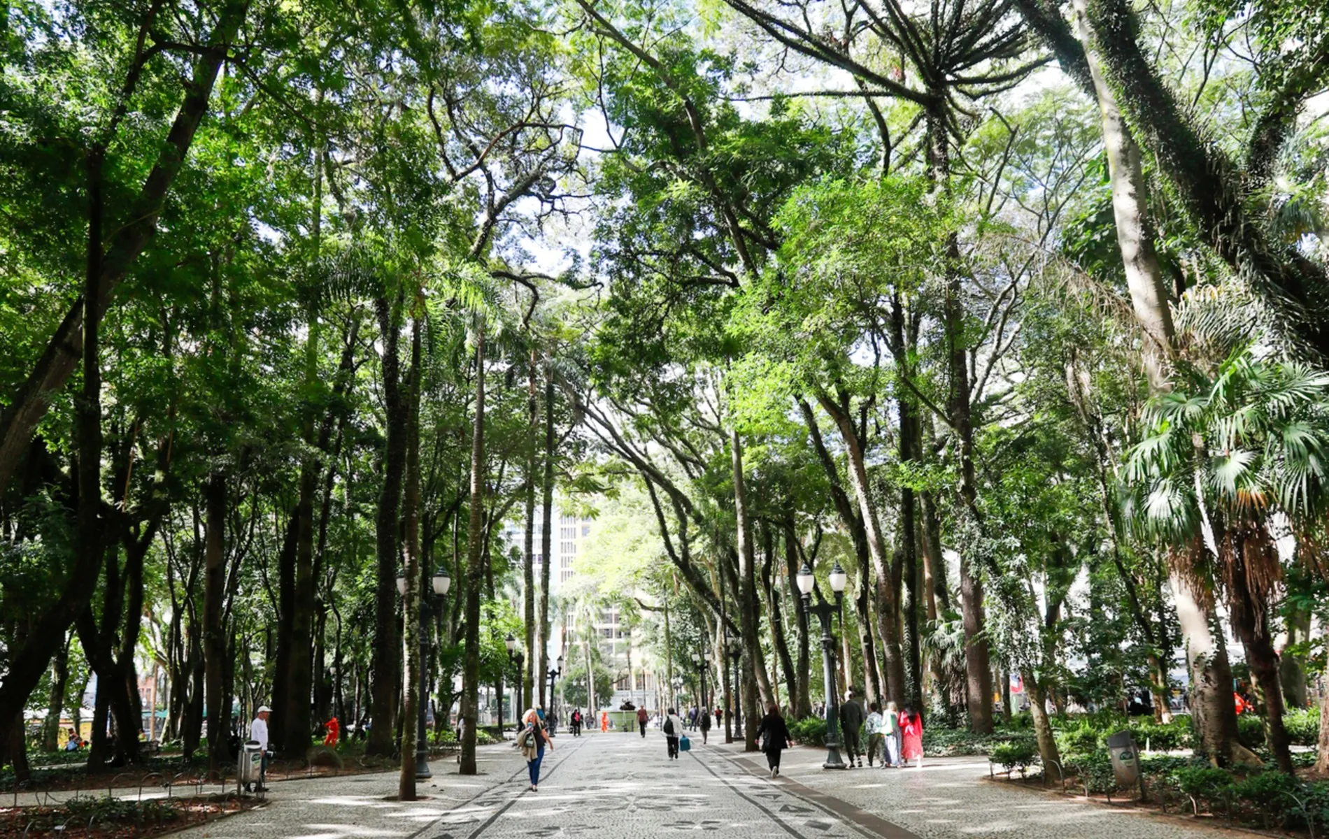 Praça Osório, no Centro de Curitiba.