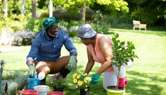 Como cuidar das plantas no inverno: 5 dicas essenciais