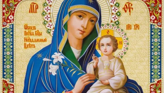 3 orações para o Dia de Nossa Senhora da Consolata