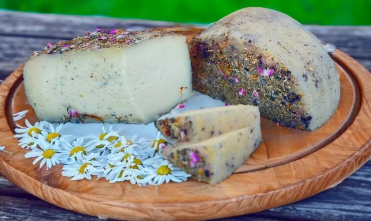 O queijo Aroma do Campo foi outro medalhista Super Ouro da segunda edição do Prêmio Queijos do Paraná 2025. Foto: Divulgação/Sistema Faep
