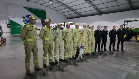 Paraná envia bombeiros e cães de busca para ajudar no resgate a vítimas do terremoto na Venezuela