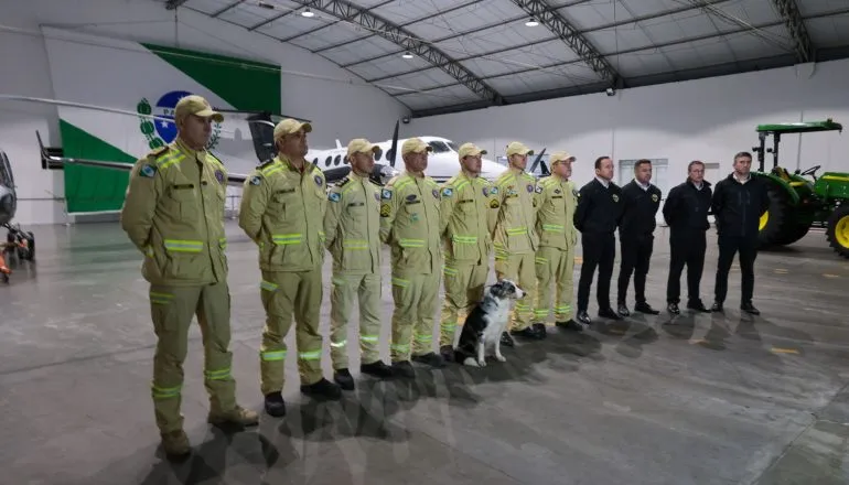 Paraná envia bombeiros e cães de busca para ajudar no resgate a vítimas do terremoto na Venezuela