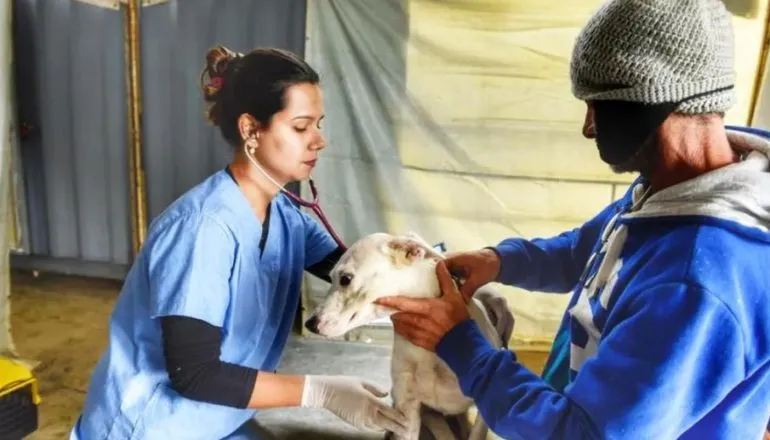 Leis aprovadas pela Assembleia fortaleceram políticas de proteção animal, com incentivo à guarda responsável, campanhas de adoção, programas de castração e combate aos maus-tratos.