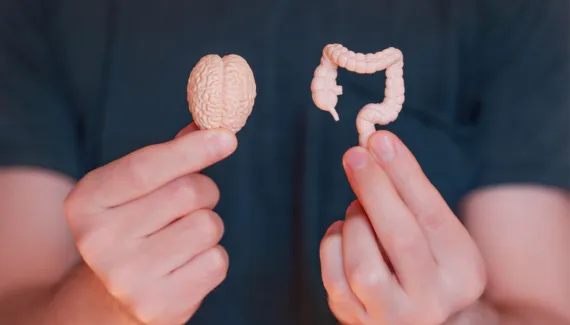 7 sinais de que a ansiedade está afetando o funcionamento do seu intestino
