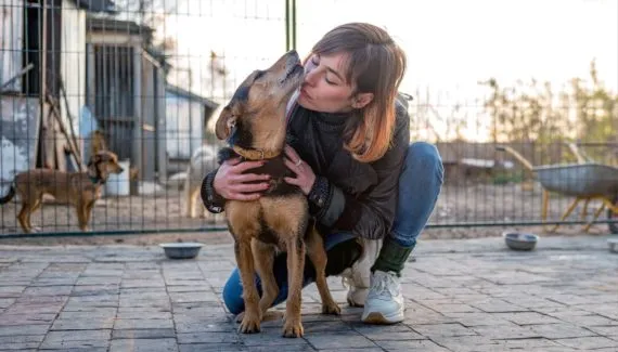 A realidade da adoção: pesquisa inédita revela como idade, cor e porte definem o destino de animais em abrigos no Brasil