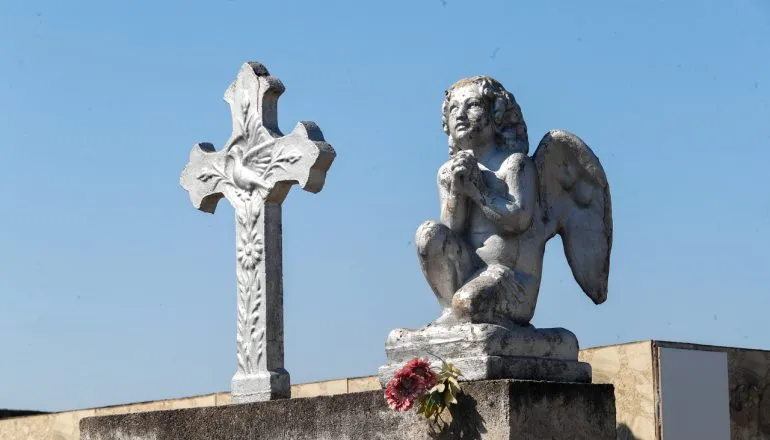 Falecimentos em Curitiba; Obituário deste sábado, 29/08/2026