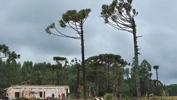 Cidade do Paraná pode ter sido atingida por tornado; terça marcada por granizo
