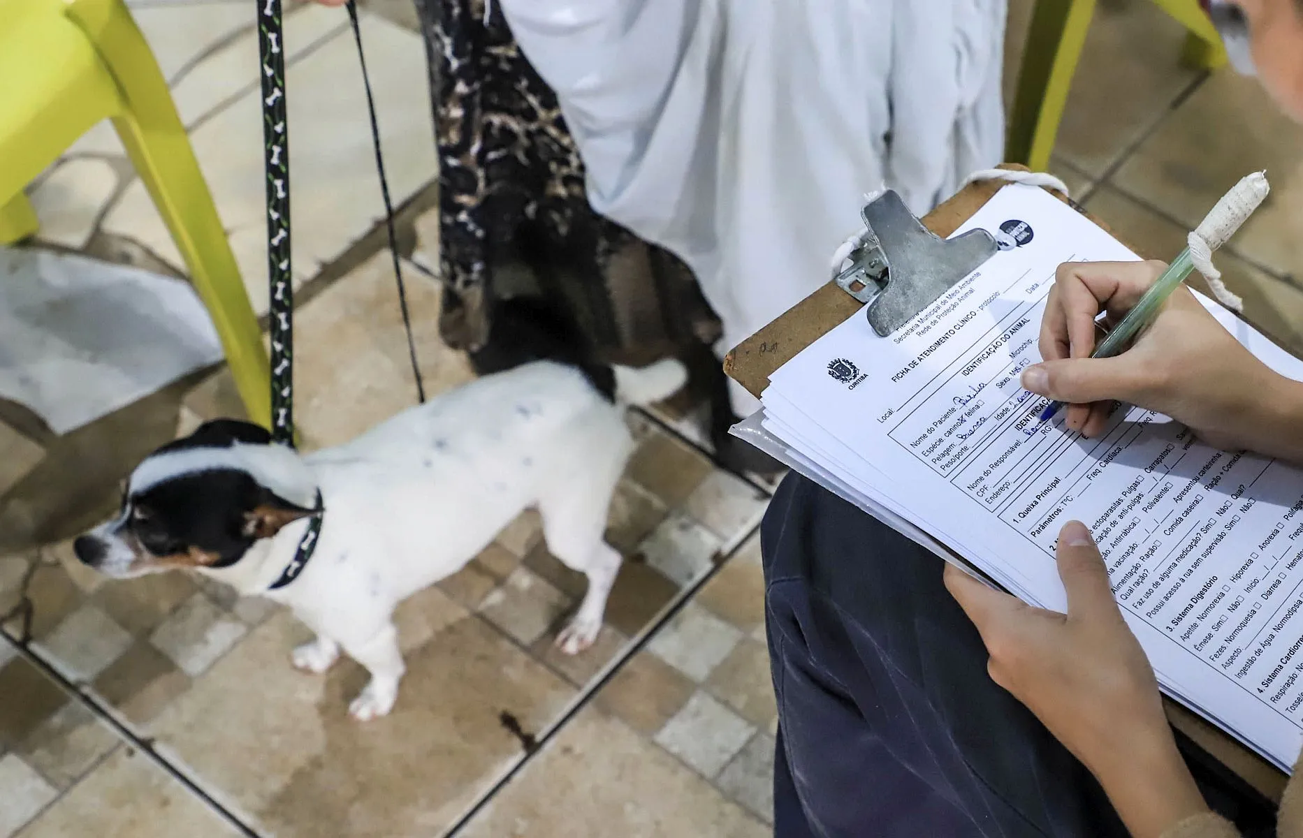 Imagem mostra mulher preenchendo uma fica com sus dados e do cachorro branco e preto que está aos seus pés