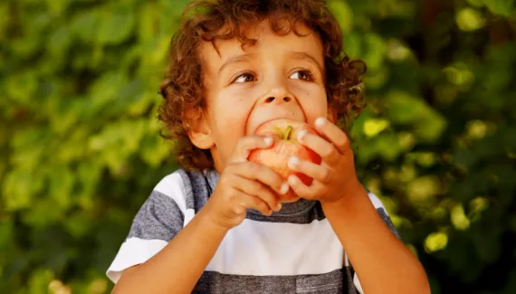 Além do sabor: como o som e a crocância dos alimentos ajudam a combater a seletividade infantil