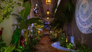 Percurso interativo conta com mais de 300 plantas nativas.