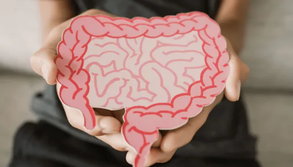 Inchaço, fadiga e intestino preso: a culpa é mesmo da disbiose?