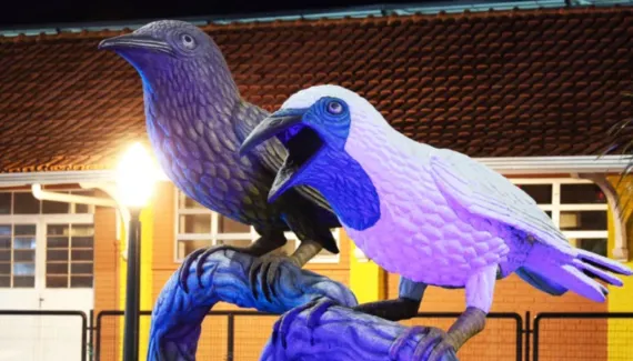 Por que todas as ruas de Arapongas têm nomes de aves?