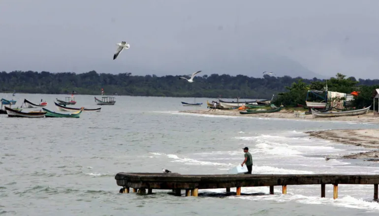 Após veto do Ibama, Paraná tenta novamente destravar projeto da 