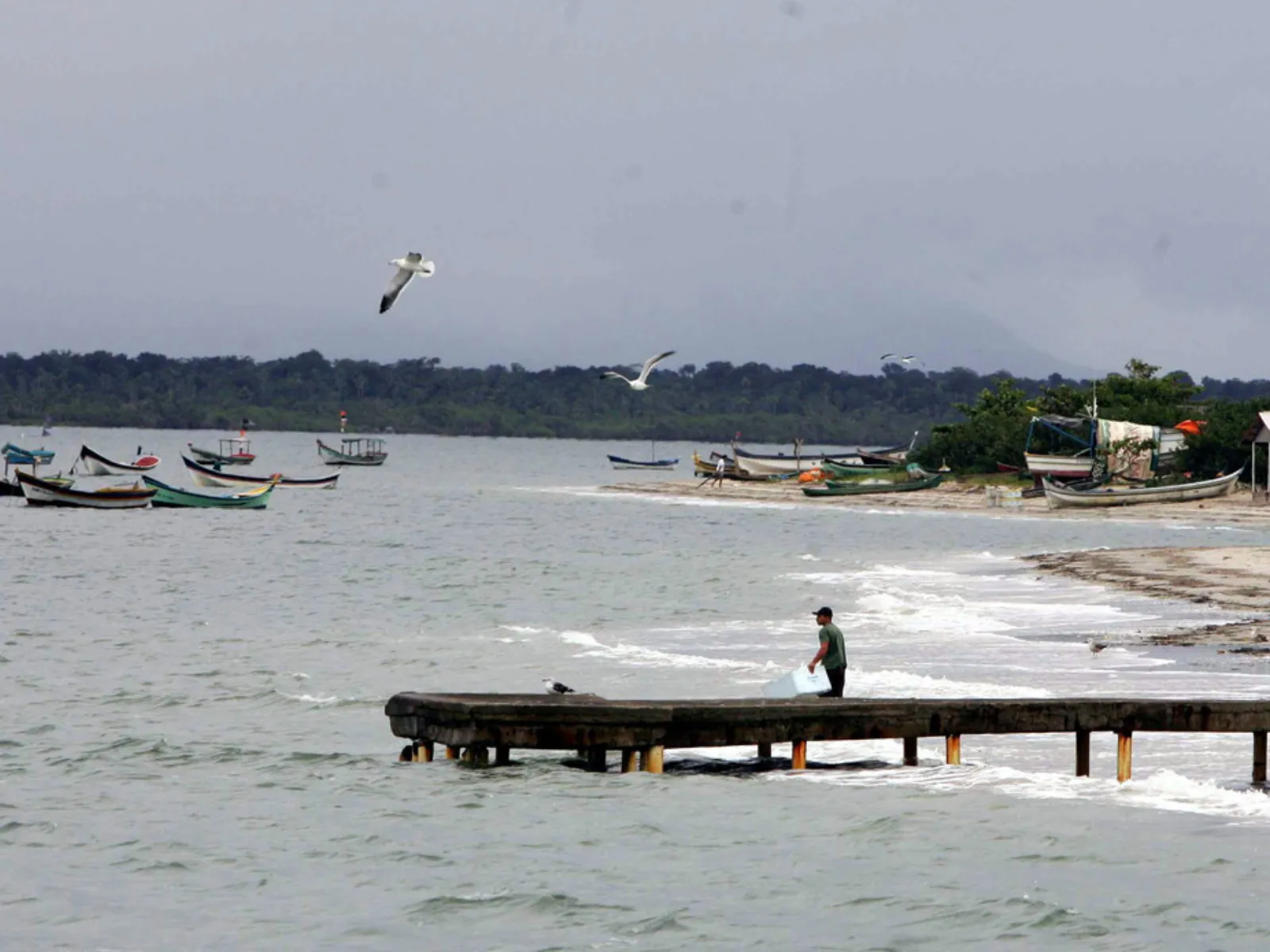 Após veto do Ibama, Paraná tenta novamente destravar projeto que expande o Canal do Varadouro, no Litoral