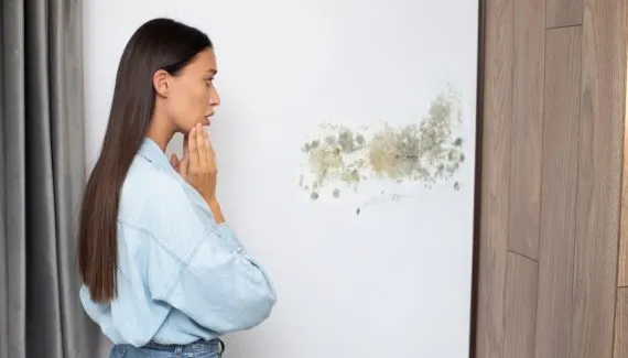 Mofo no inverno? Veja como identificar os sinais e evitar fungos em casa