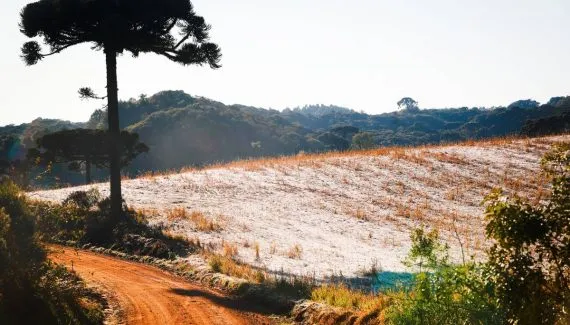 Paraná crava -0,6 ºC hoje: massa de ar polar deixa 3 cidades abaixo de 1 ºC