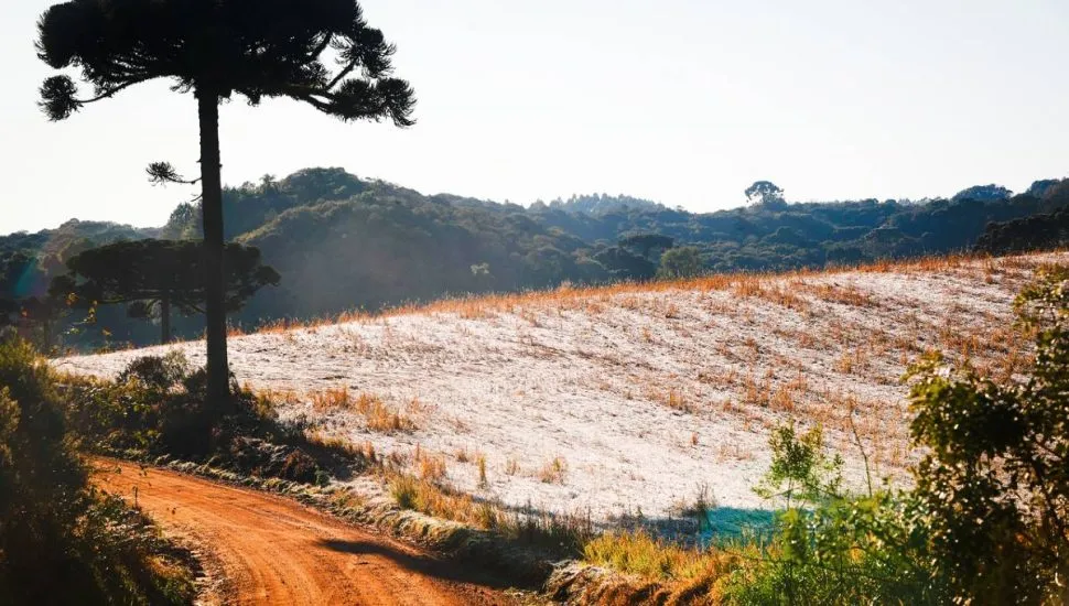 Imagem mostra um cenário de campo, com um pinheiro ao lado esquerdo, montanhas ao fundo e geada na plantação. A imagem tem ainda uma estrada de terra bem no canto inferior esquerdo.