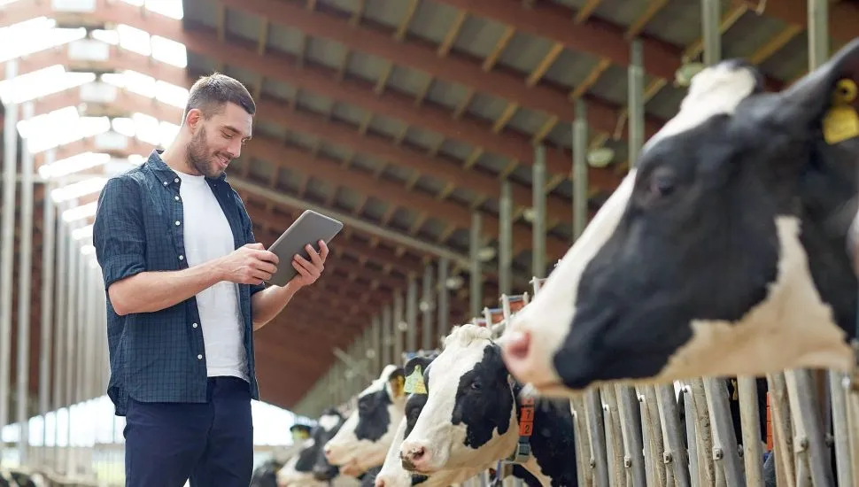 Imagem mostra homem com um tablet na mão e várias vacas enfileiradas em um galpão
