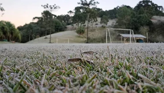 Massa de ar polar chega com tudo e cidade do Paraná crava -2,3ºC