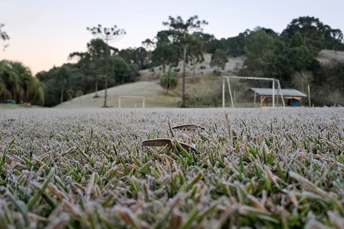 Campo em General Carneiro coberto por geada intensa.