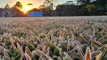 Cidade do Paraná registra temperatura negativa e cenário digno de filme
