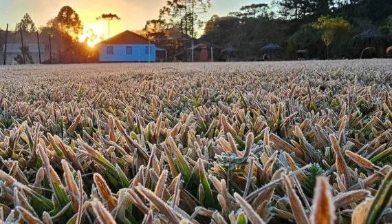 Cidade do Paraná registra temperatura negativa e cenário digno de filme