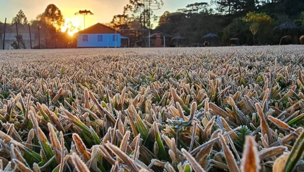 Imagem mostra um gramado com geada e uma casa branca ao fundo, com sol nascendo e aparecendo entre as árvores.