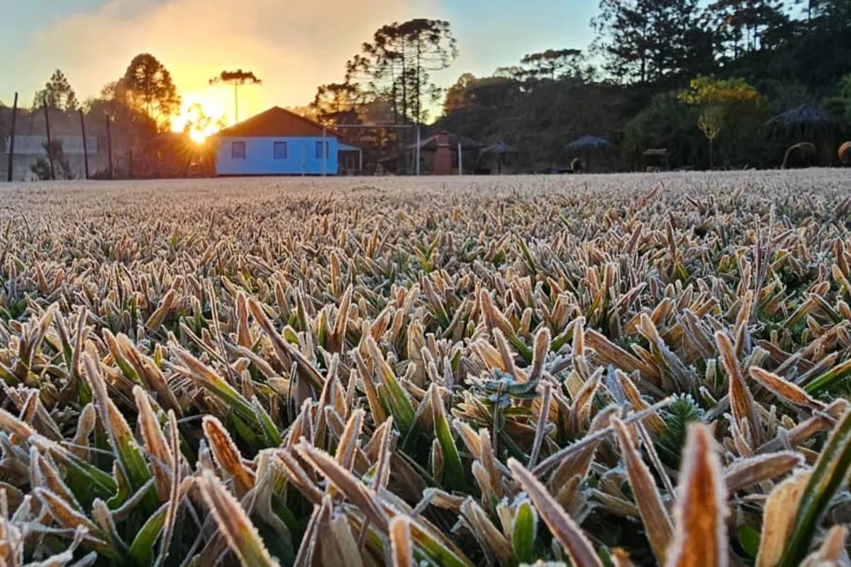 Imagem mostra um gramado com geada e uma casa branca ao fundo, com sol nascendo e aparecendo entre as árvores.