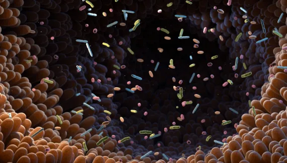 Microbiota humana: entenda como os microrganismos do corpo influenciam a saúde