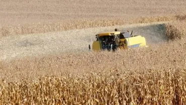 El Niño no Paraná: como o fenômeno que traz mais chuvas vai impactar a agricultura