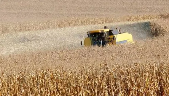 El Niño no Paraná: como o fenômeno que traz mais chuvas vai impactar a agricultura