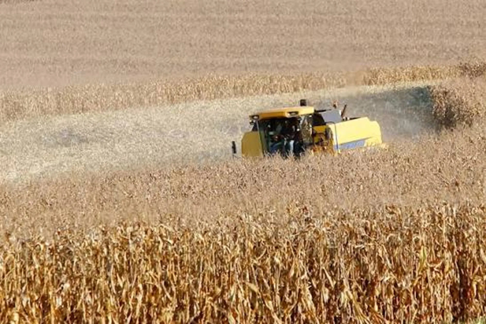 El Niño no Paraná: como o fenômeno que traz mais chuvas vai impactar a agricultura