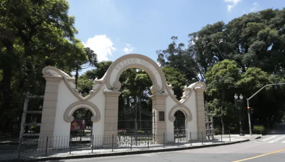Prefeitura de Curitiba corta árvores no Passeio Público após multa de R$ 511 mil do Ibama