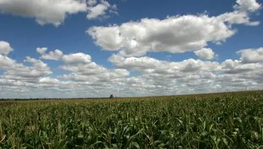 Seca recua no Paraná após chuvas até 120 mm acima da média