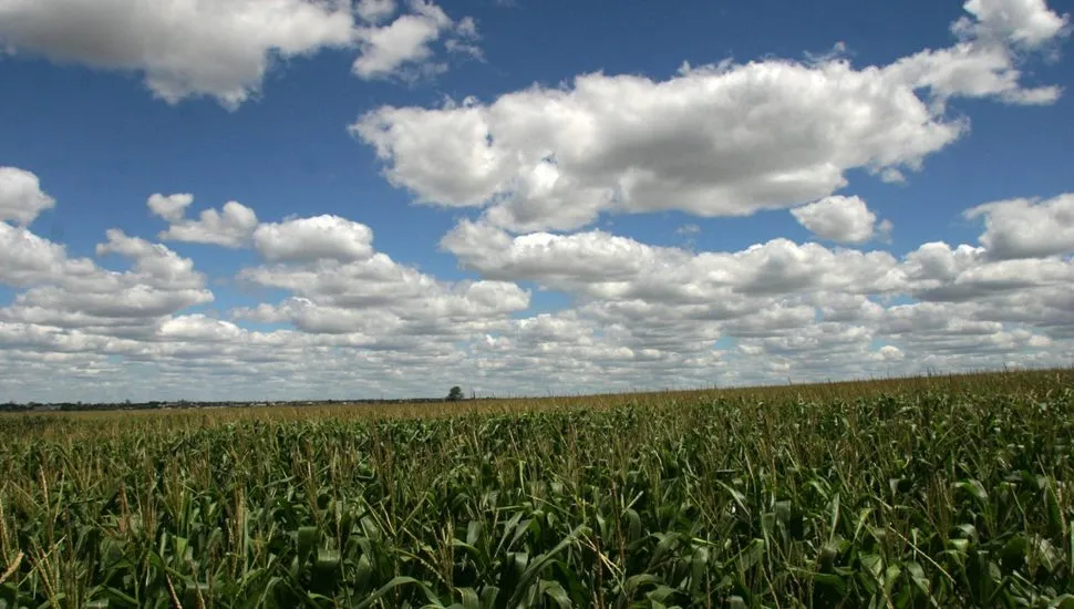 Seca recua no Paraná após chuvas até 120 mm acima da média