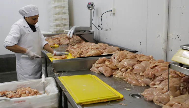 Risotolândia é multada em R$ 1,2 milhão após larvas e baratas em merenda de 25 escolas de Curitiba
